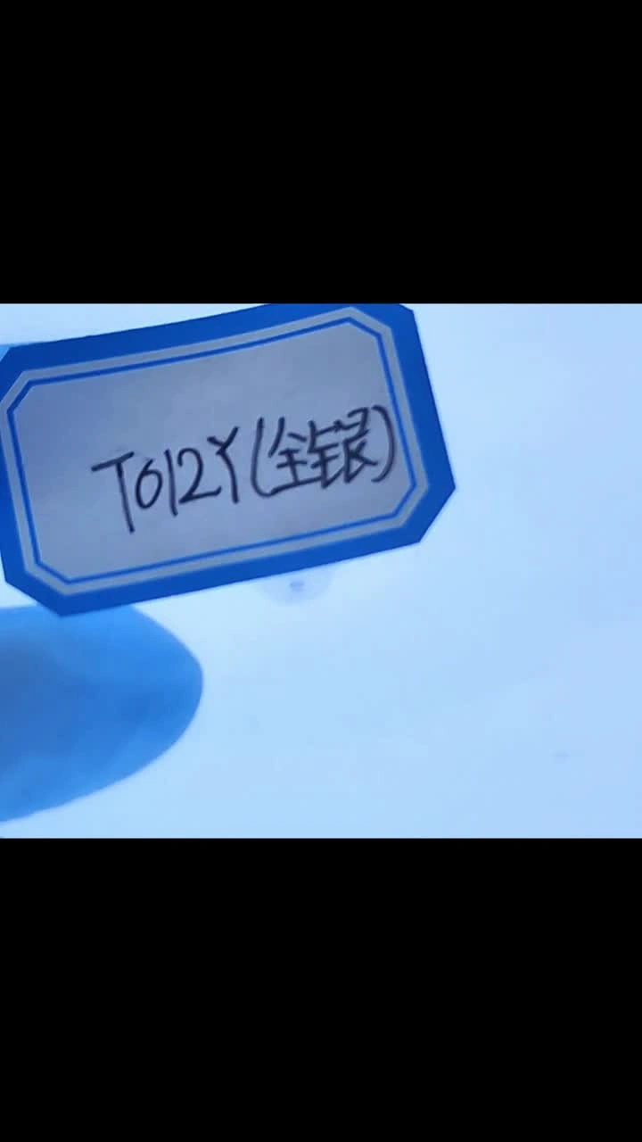 T012Y Kjellberg