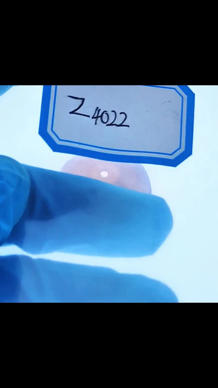 Z4022Kjellberg
