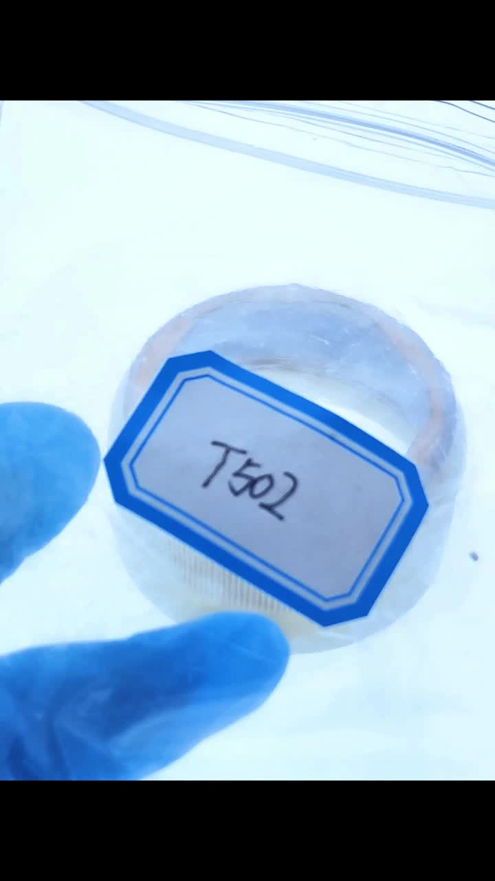 T502Kjellberg1