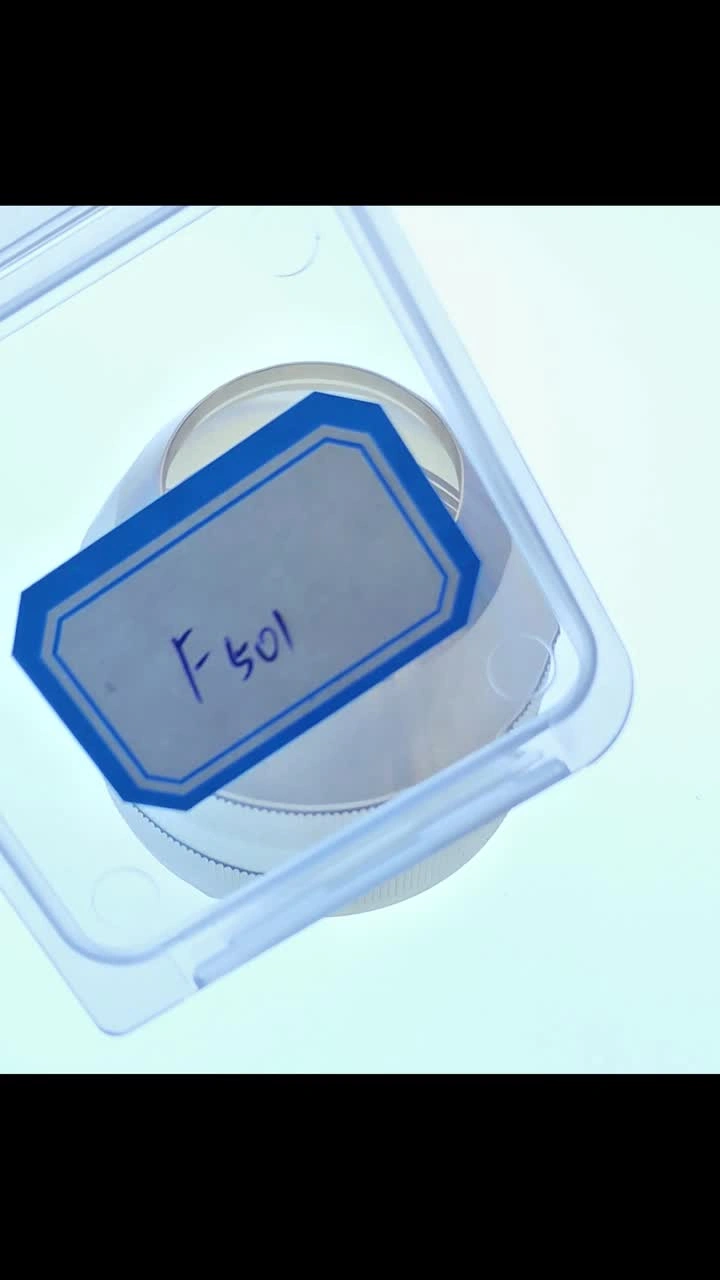 F501 Kjellberg