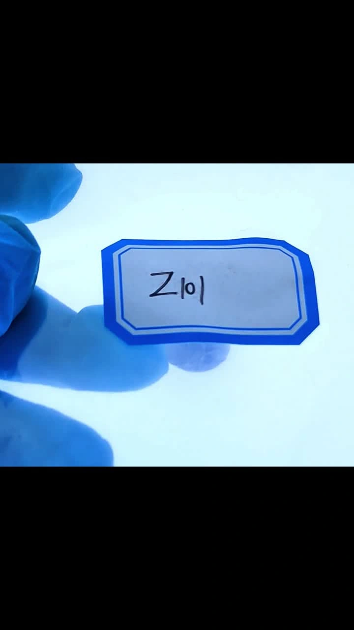 Z101Kjellberg