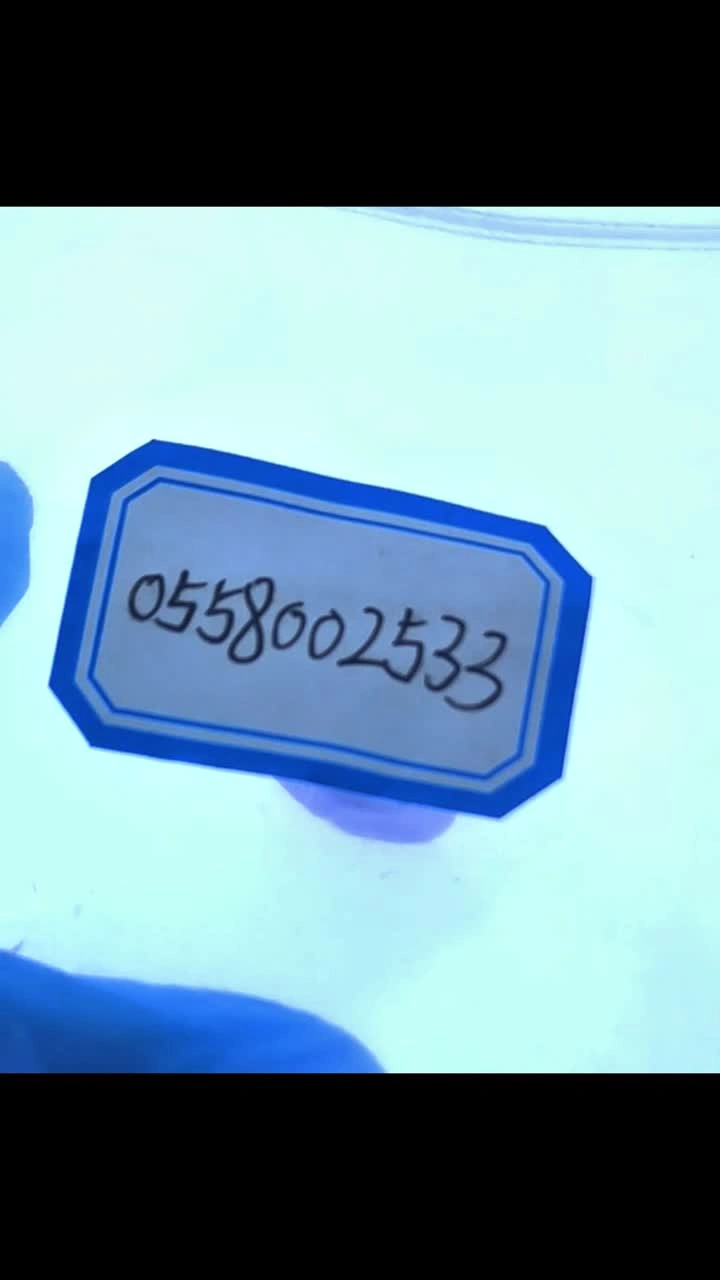 0558002533ESAB